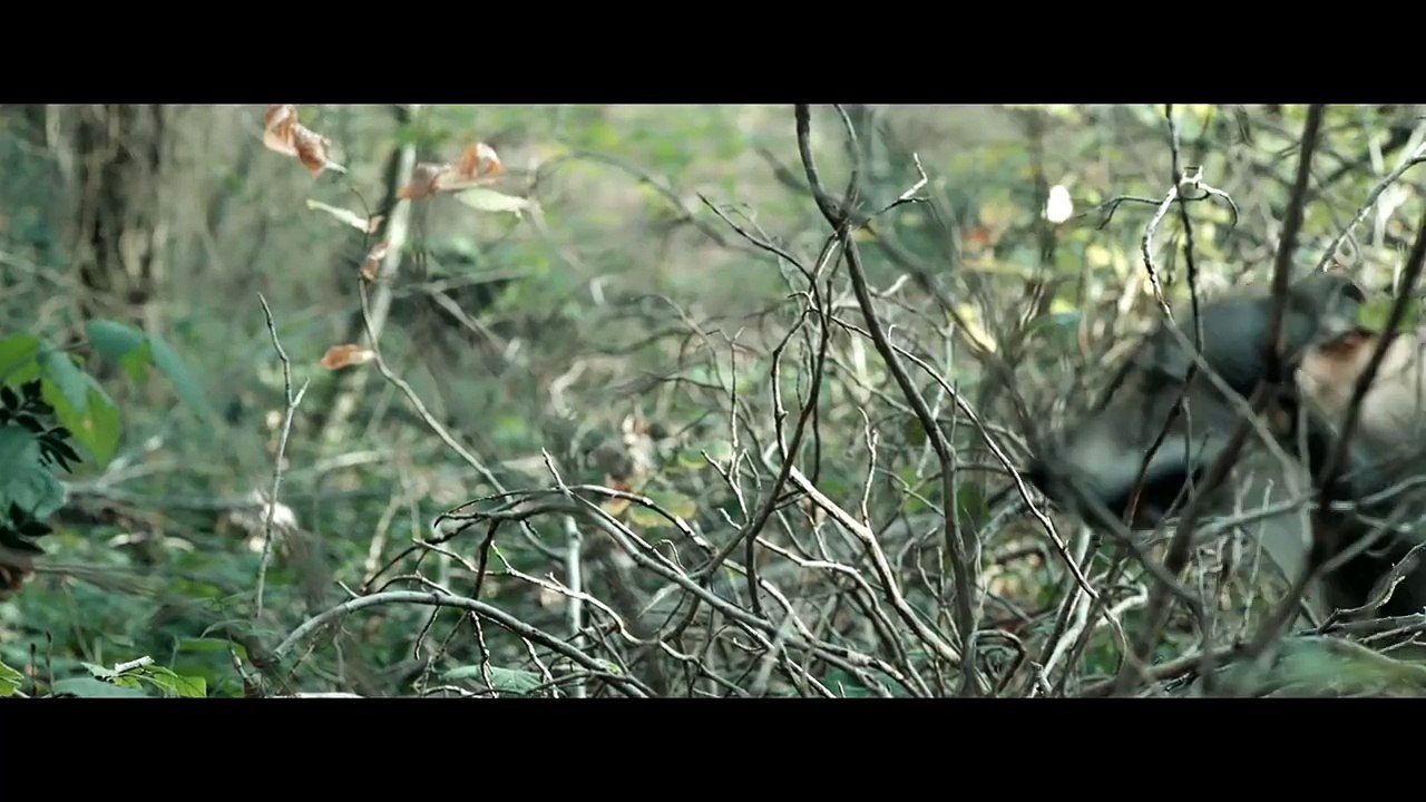 Sansar Salvo feat. Şanışer - Yarın Ölümü Beklemek Yerine