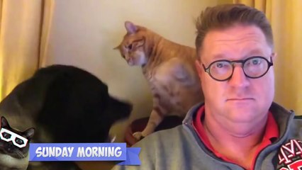 Лучшие Приколы Недели Апрель 2016