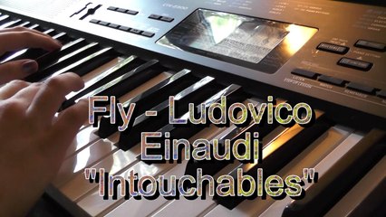 Fly - Ludovico Einaudi "Intouchables" on Piano (отрывок)