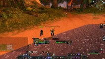 World Of Warcraft Burning Crusade Hunter PvP lvl 49 Clip Vs Druid