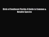 Download Books Birds of Southeast Florida: A Guide to Common & Notable Species E-Book Free