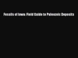 Read Books Fossils of Iowa: Field Guide to Paleozoic Deposits ebook textbooks