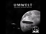 UMWELT - End of the universe