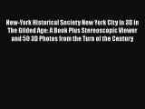 [PDF] New-York Historical Society New York City in 3D In The Gilded Age: A Book Plus Stereoscopic