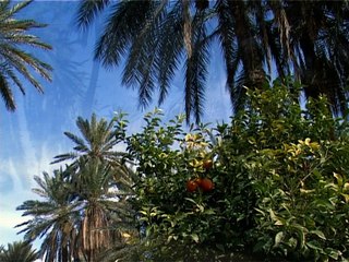 The tunisian desert (©Dragos Gros)
