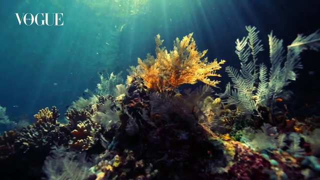 Take A Dive With Katrina Kaif - June 2016 Cover Girl | Photoshoot Behind-the-Scenes | VOGUE India