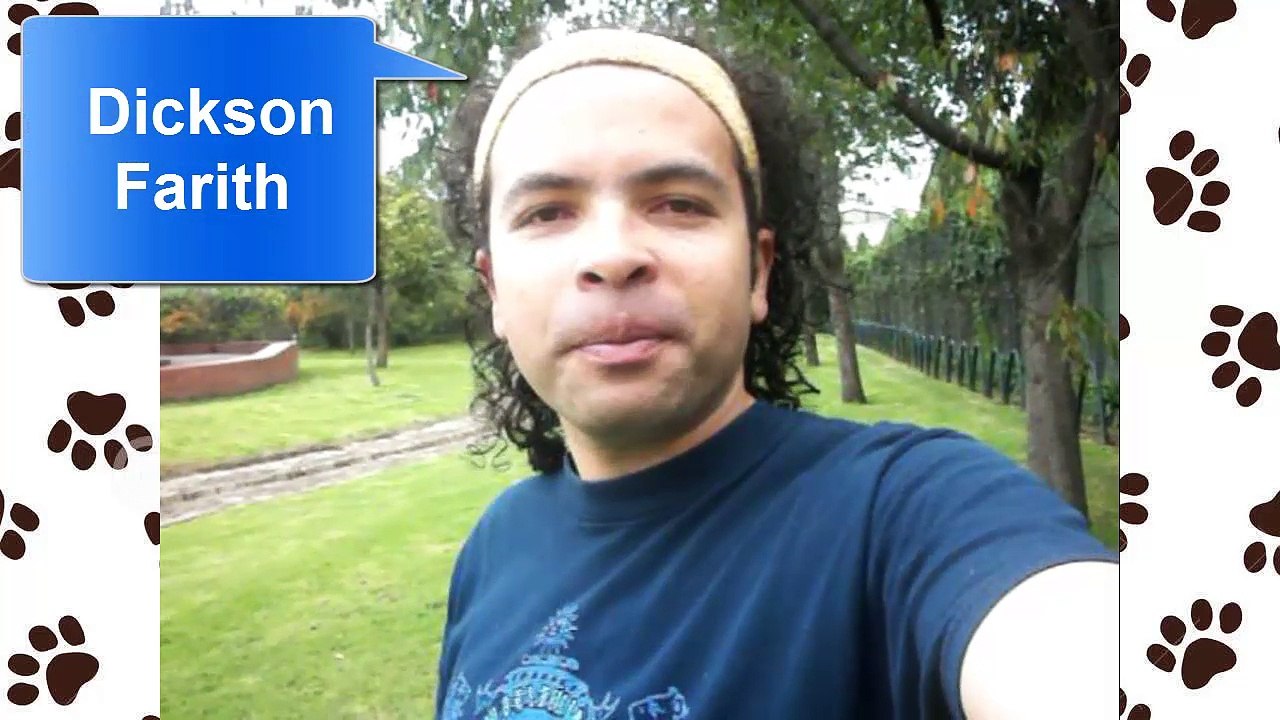 Bienvenidos a TuMascotaTV