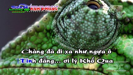Tình Đắng Lý Khổ Qua karaoke full HD 2016 Điện Tử Anh Phụng