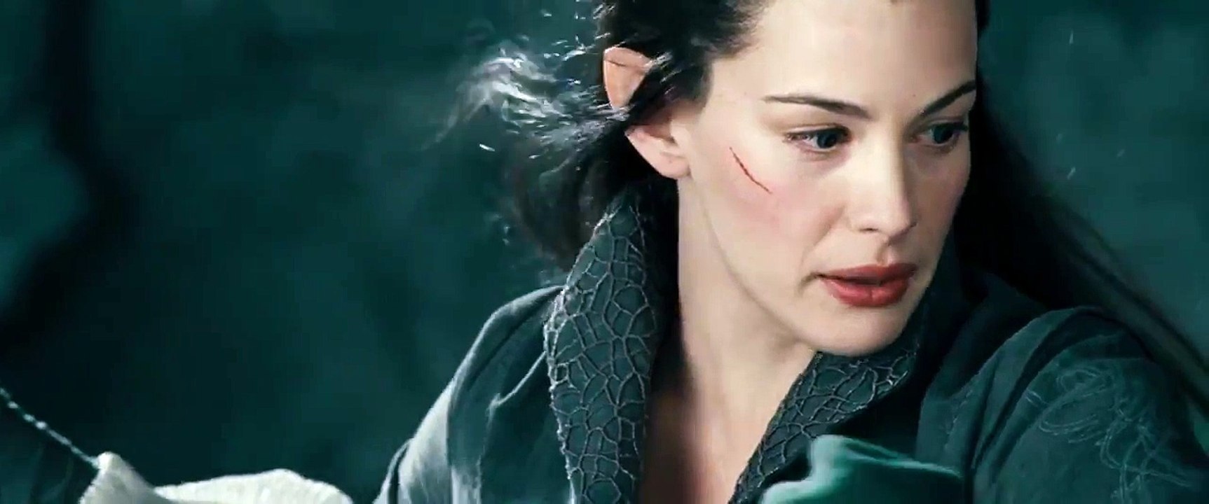 The Lord of the Rings The Fellowship of the Ring