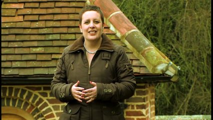 Dog Training Made Easy: What your dog needs to be happy - Part 3/25