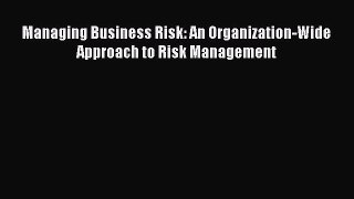 [Read PDF] Managing Business Risk: An Organization-Wide Approach to Risk Management Download