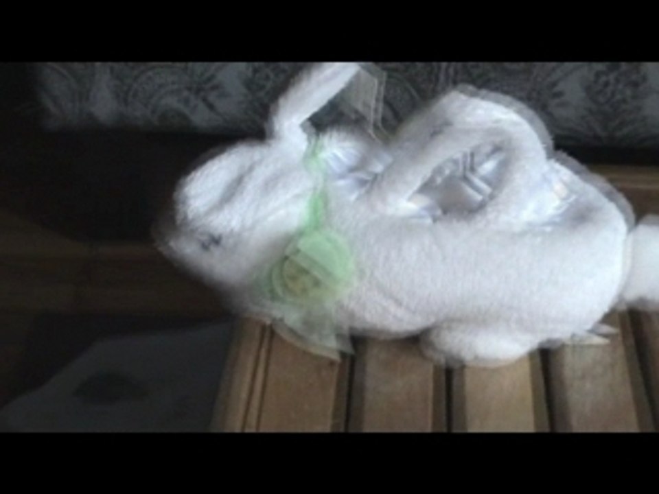 Bunny
