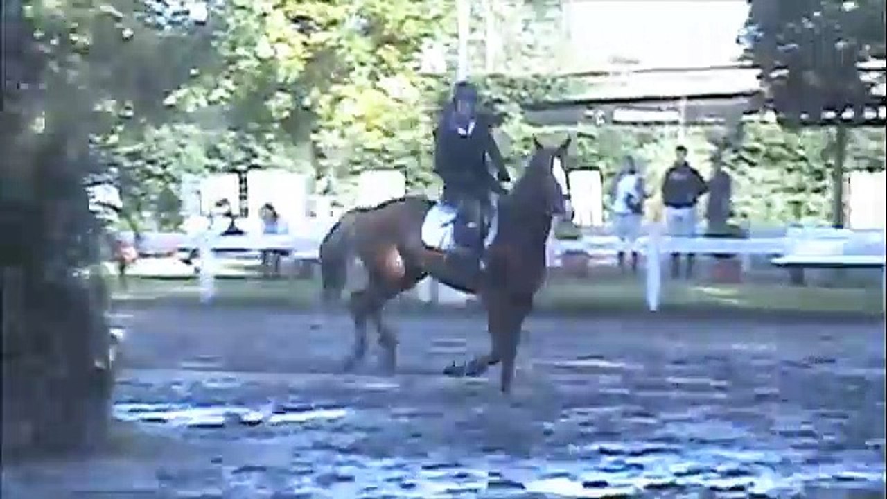 Gama Indeco CAE 80 cm 24-3-2011