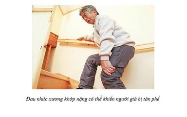 Đau nhức xương khớp ở người già