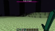 Enderman tries to attack the Enderdragon... but fails