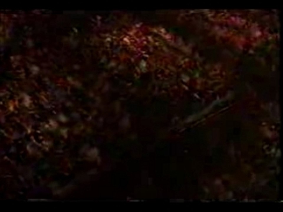 Phil Collins and Chester Thompson