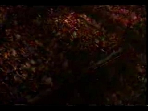 Phil Collins and Chester Thompson