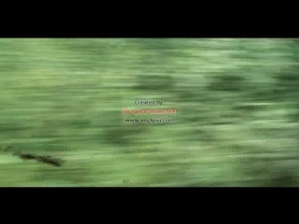 Rushes 2