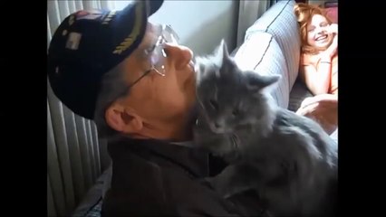 Cats meet their owners after long time