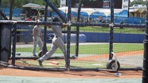 J.C. Rodriguez Batting Cage, 3/4