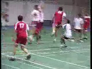 BM Manzanares 29 - Villarrobledo 25