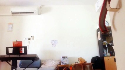 Stupid human park (Jurassic park parody)