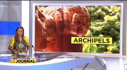 Fatu Hiva privée de postière