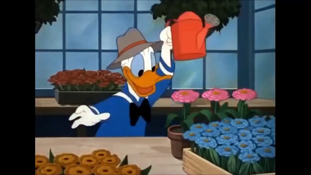Complete Collection of Donald Duck & Spike the Busy Bee - Full Cartoons HD