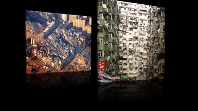 WTF Facts funny interesting & weird facts