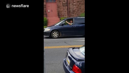 Horse rides in car in Pennsylvania, USA