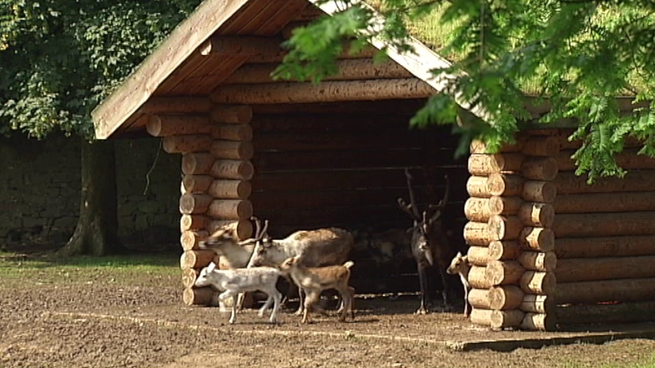 Des Inuïts à Pairi Daiza