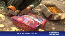 خوش ذائقہ خوبانی   Samaa Urdu News (1) SWAT KHOOBANI BAGH