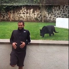 Cet homme tourne le dos à un jaguar, mais la suite va vous choquer