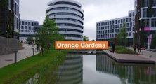 Discover Orange Gardens