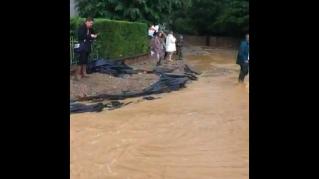 Orages : les dégâts à Romanswiller