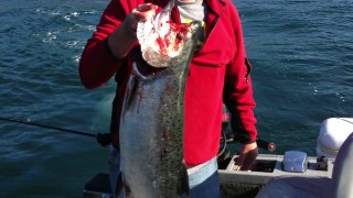 October 2013 Salmon Fishing Tillamook Bay Oregon USA