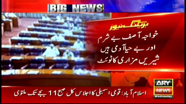 Shireen Mazari reacts to Khwaja Asif's remarks