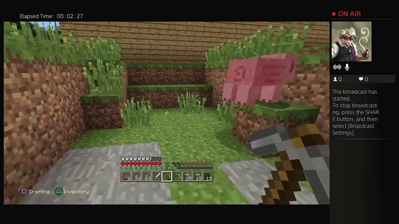 Minecraft suriving! (5)