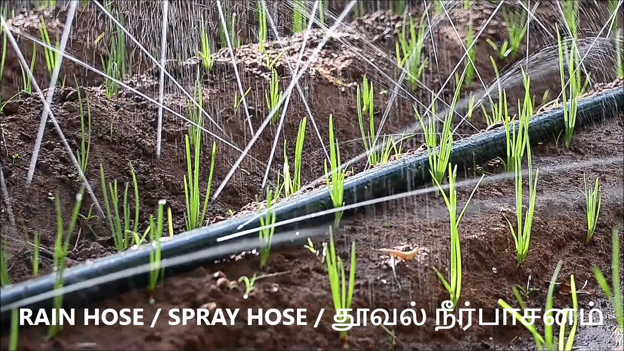 RAIN HOSE / SPRAY HOSE / DRIP IRRIGATION