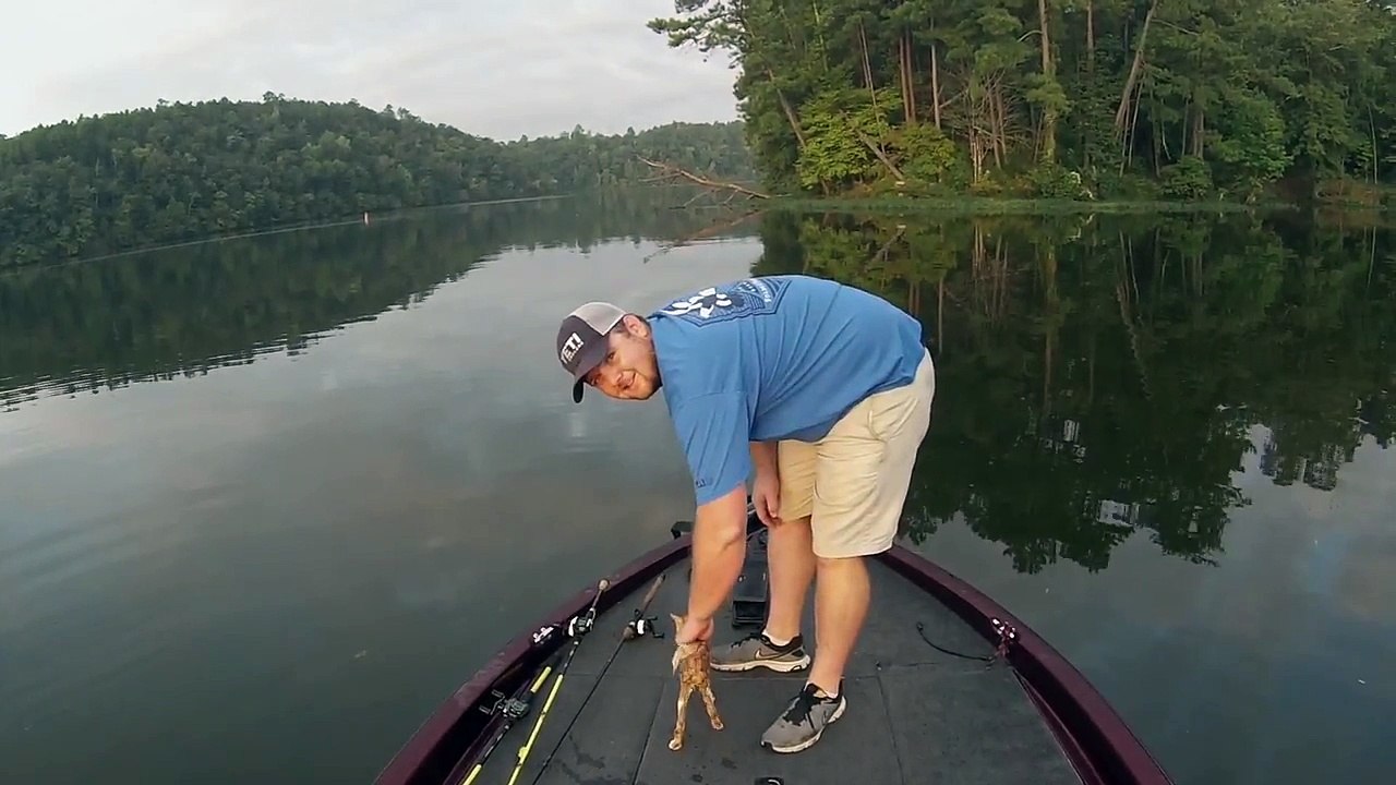 Two Guys Went On A Fishing Trip But Ended Up Catching Kittens