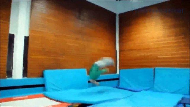 People Are Awesome 2012 Most Amazing Humans In The World