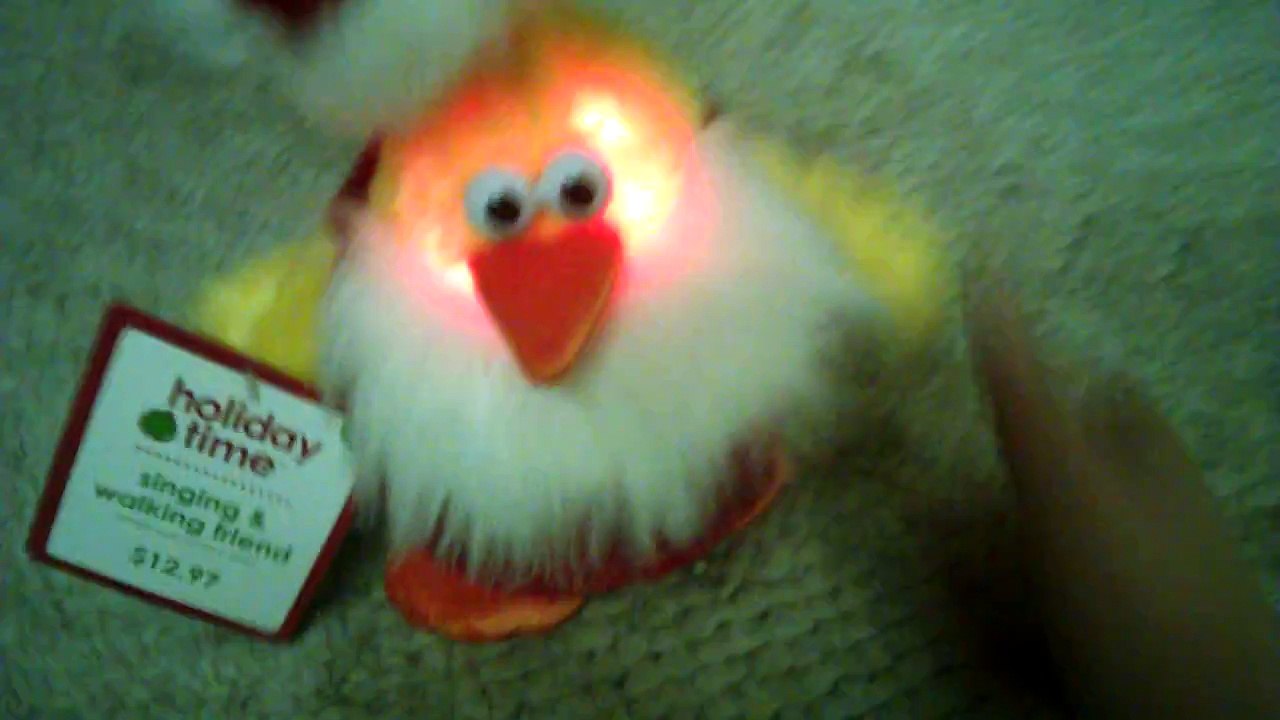 Dan Dee chicken dance chicken