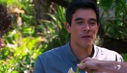 Home and Away 6443 8th June 2016 HD 720p