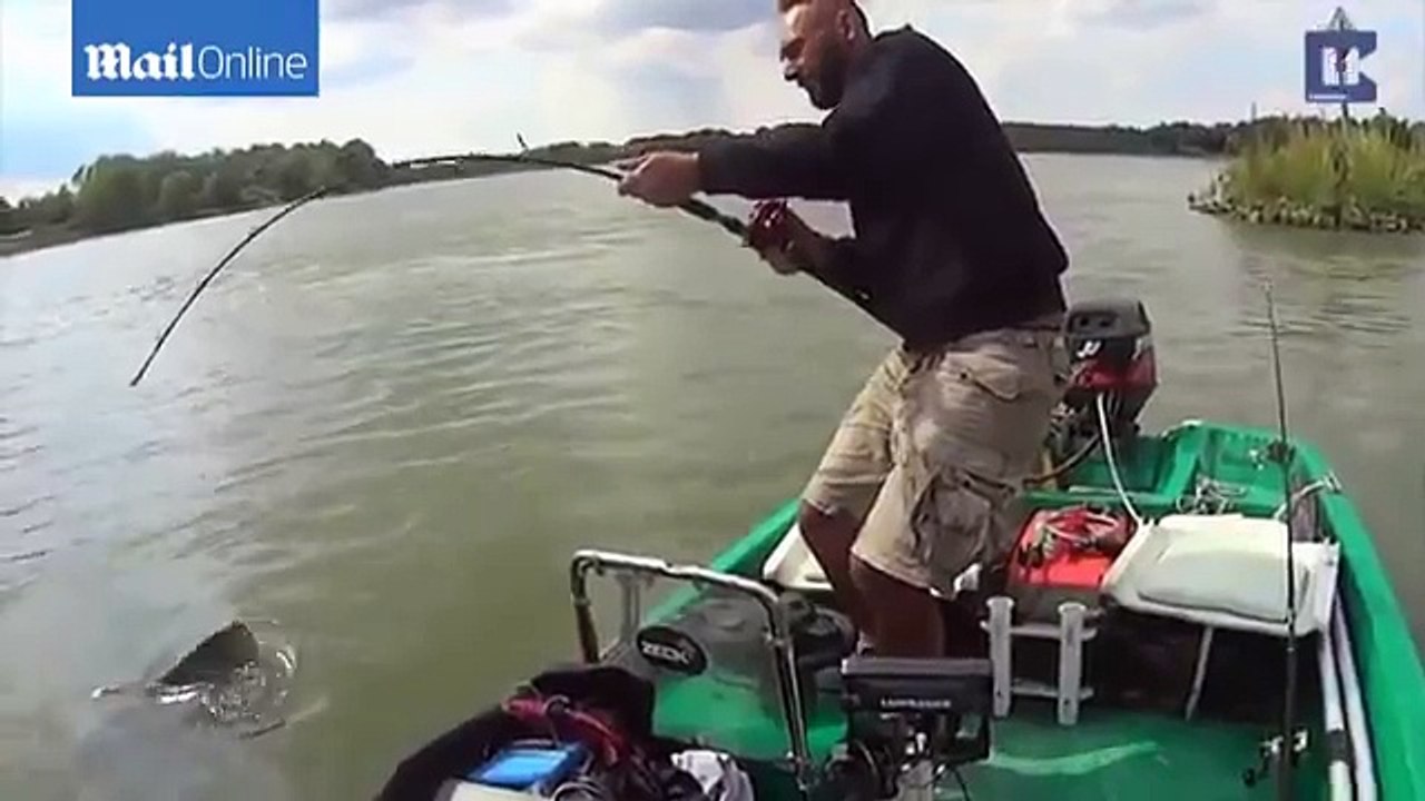 Fisherman Finally Reels In 19 Stone Catfish After Hour-Long Battle