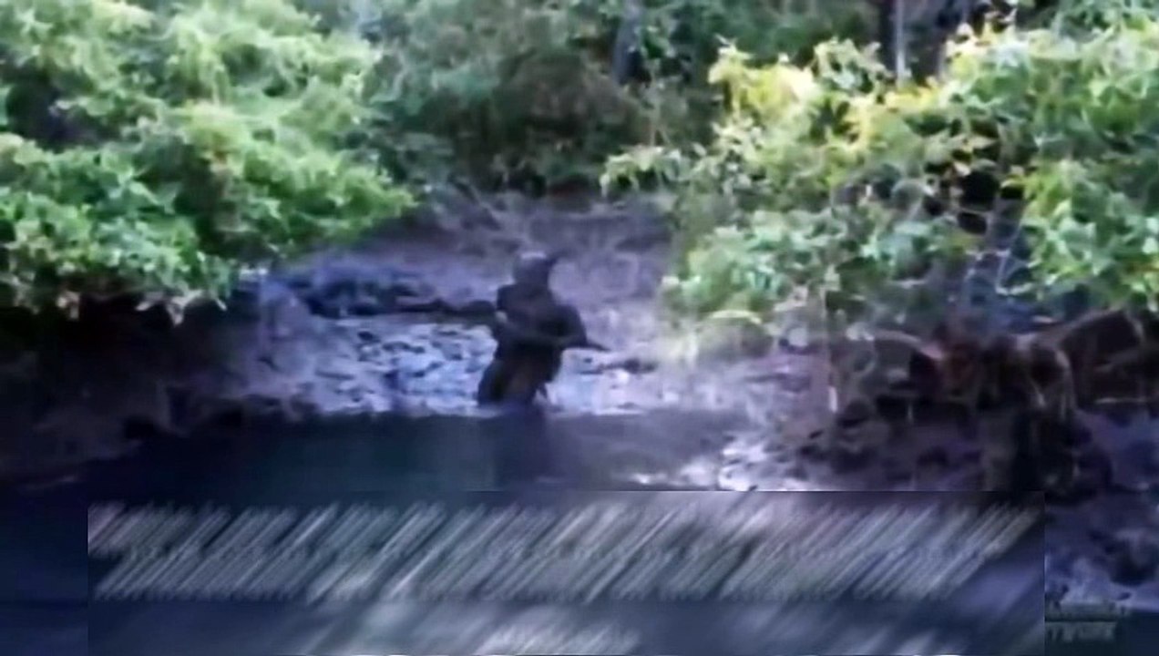 Etranges créatures, Aliens, Démons ETC... 0h26mn