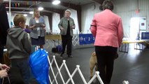 Breed  judging - Fargo-Moorhead KC Ziggy