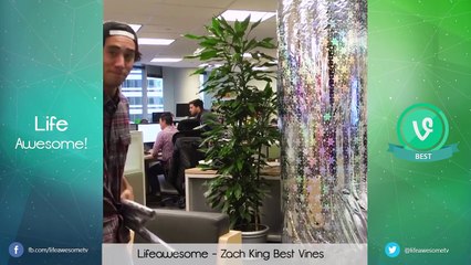 New ZACH KING Vine Compilation 2016   BEST OF ZACH KING 2016   The Best Vines