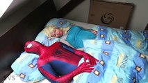 PREGNANT FROZEN ELSA vs SPIDERMAN - SPIDERBABY QUINTUPLETS w/ Pink Spidergirl Twins Funny Superhero