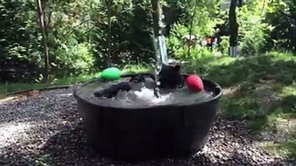 Cet ours qui s'éclate dans son bain fait fondre les internautes