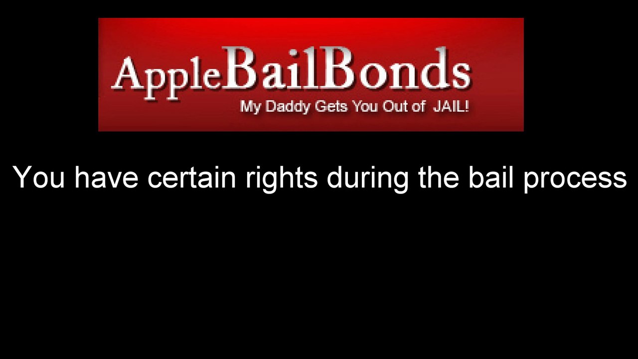 Bail Bonds